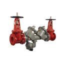 10 in. Lead Free Ductile Iron Reduced Pressure Backflow Preventer 