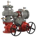 10 in. Ductile Iron Flanged 350 psi Backflow Preventer