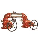 3 in. Stainless Steel Flanged Backflow Preventer