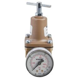 1/2 in. Brass FNPT Pressure Regulator Valve