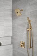 Multi Function Hand Shower in Lumicoat Champagne Bronze 