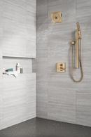 Multi Function Hand Shower in Lumicoat Champagne Bronze 