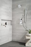 Delta Faucet Lumicoat® Chrome Multi Function Hand Shower 