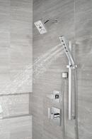 Delta Faucet Lumicoat® Chrome Multi Function Hand Shower 