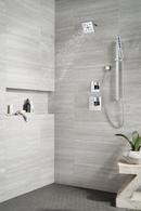 Delta Faucet Lumicoat® Chrome Multi Function Hand Shower 