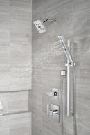 Delta Faucet Lumicoat® Chrome Multi Function Hand Shower 