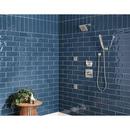 Delta Faucet Lumicoat Stainless Multi Function Hand Shower 