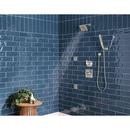 Delta Faucet Lumicoat Stainless Multi Function Hand Shower 