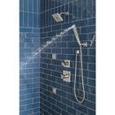 Delta Faucet Lumicoat Stainless Multi Function Hand Shower 