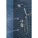 Delta Faucet Lumicoat Stainless Multi Function Hand Shower 