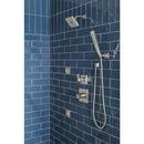 Delta Faucet Lumicoat Stainless Multi Function Hand Shower 