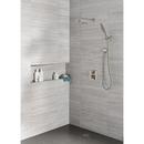 Delta Faucet Lumicoat Stainless Multi Function Hand Shower 