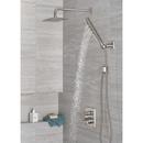Delta Faucet Lumicoat Stainless Multi Function Hand Shower 