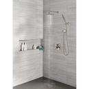 Delta Faucet Lumicoat Stainless Multi Function Hand Shower 