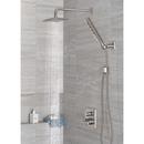 Delta Faucet Lumicoat Stainless Multi Function Hand Shower 