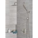 Delta Faucet Lumicoat Stainless Multi Function Hand Shower 