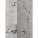 Delta Faucet Lumicoat Stainless Multi Function Hand Shower 