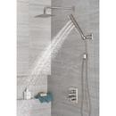 Delta Faucet Lumicoat Stainless Multi Function Hand Shower 