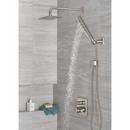 Delta Faucet Lumicoat Stainless Multi Function Hand Shower 