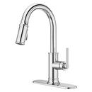 COLFAX PULLDOWN KITCHEN FAUCET IN POLISHED CHROME 