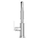 COLFAX PULLDOWN KITCHEN FAUCET IN POLISHED CHROME 