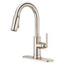 Pfister Polished Nickel Single Handle Pull Down Kitchen Faucet 