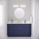 1-Light LED Vanity Fixture in Modern Gold 