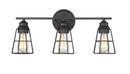 3-Light Vanity Fixture in Matte Black