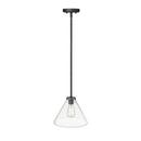 1-Light Pendant Light in Matte Black 