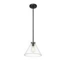 1-Light Pendant Light in Matte Black 