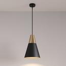 1-Light Pendant Light in Matte Black Modern Gold 