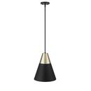 1-Light Pendant Light in Matte Black Modern Gold 