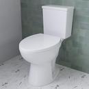 Comfort Height Elongated Toilet Bowl in White 