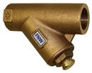 FNW&reg; 250# Wye Strainer 