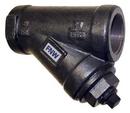 FNW&reg; 250# NPT Cast Iron Wye Strainer 