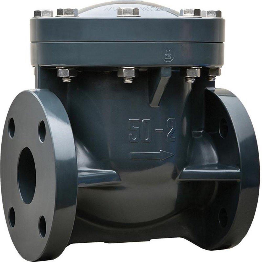 2 PVC FLG SWING CHK VLV FKM 