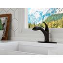 WRAY 1-HANDLE PULL-OUT KITCHEN FAUCET IN MATTE BLACK 