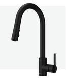 Pfister Matte Black Single Handle Pull Down Kitchen Faucet 