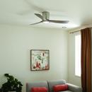 54 INCH VOLOS FAN 