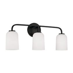 100W 3-Light Medium E-26 Vanity Fixture in Matte Black