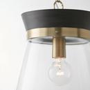 Capital Lighting Black Stain/Matte Brass 100W 1-Light Medium E-26 Incandescent Pendant 