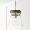 Capital Lighting Black Stain/Matte Brass 100W 1-Light Medium E-26 Incandescent Pendant 