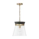 Capital Lighting Black Stain/Matte Brass 100W 1-Light Medium E-26 Incandescent Pendant 