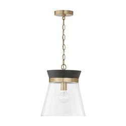 100W 1-Light Medium E-26 Incandescent Pendant in Black Stain with Matte Brass