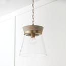 Capital Lighting White Wash/Matte Brass 100W 1-Light Medium E-26 Incandescent Pendant 