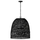 100W 3-Light Medium E-26 Incandescent Pendant in Matte Black