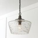 Capital Lighting Carbon Grey/Black Iron 100W 1-Light Medium E-26 Incandescent Pendant 