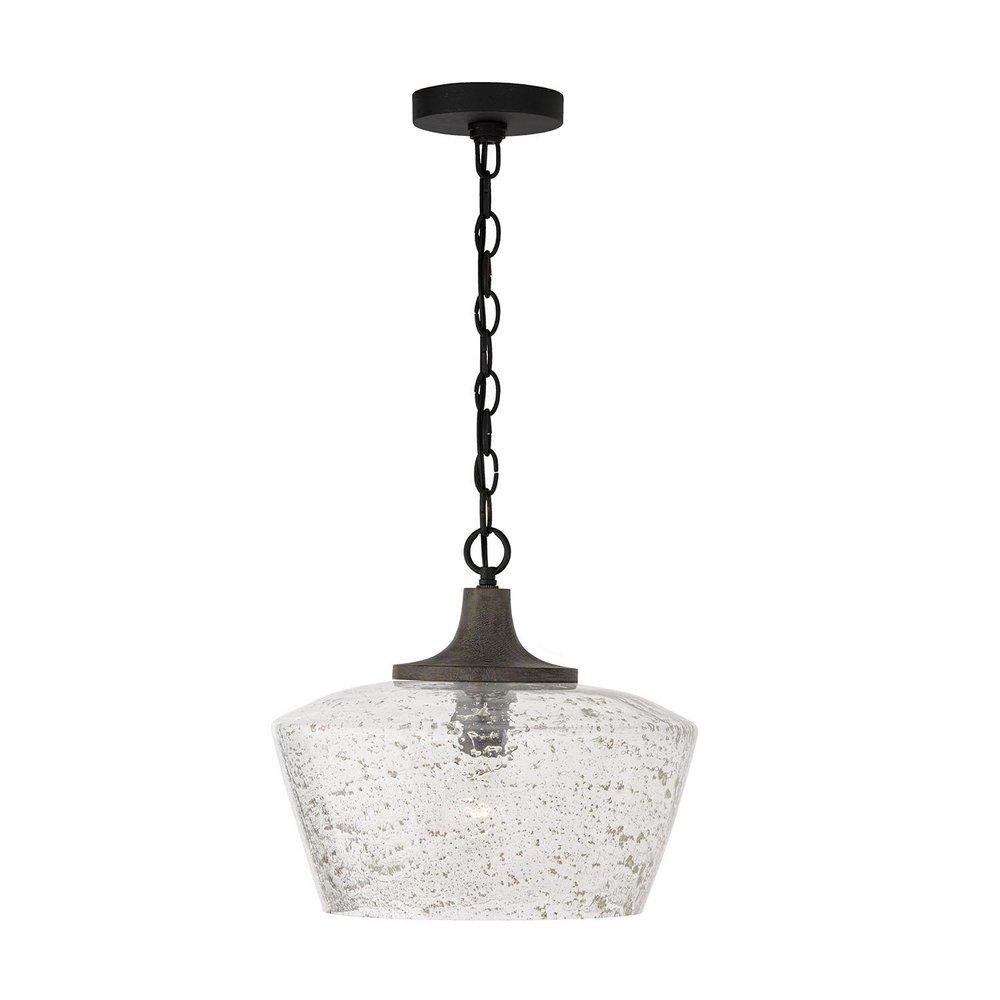 Capital Lighting Carbon Grey/Black Iron 100W 1-Light Medium E-26 Incandescent Pendant 