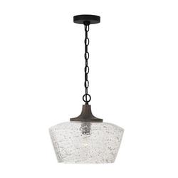 100W 1-Light Medium E-26 Incandescent Pendant in Carbon Grey with Black Iron