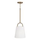 Capital Lighting Aged Brass 100W 1-Light Medium E-26 Incandescent Pendant 